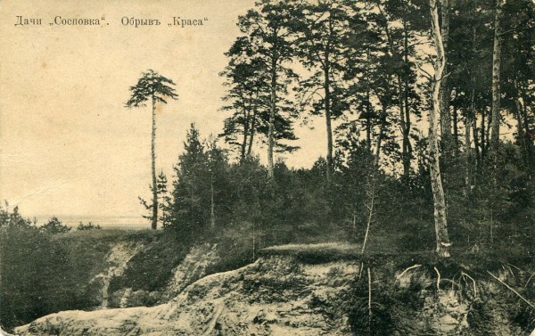 Черкассы. Дачи ''Сосновка''. Обрывь ''Краса''. 51