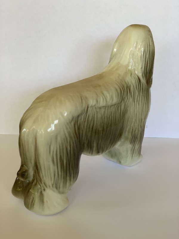 Афганская Борзая. 236