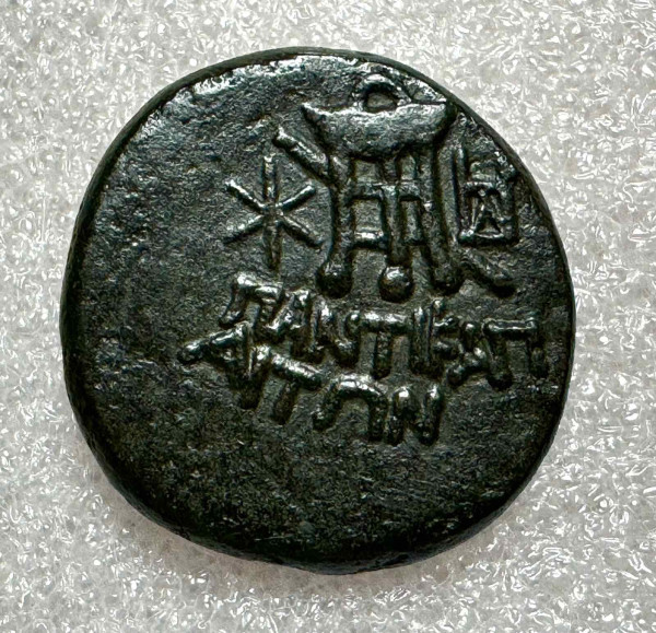 Тетрахалк 90-80 гг. до н.э. Пантикопей. 925