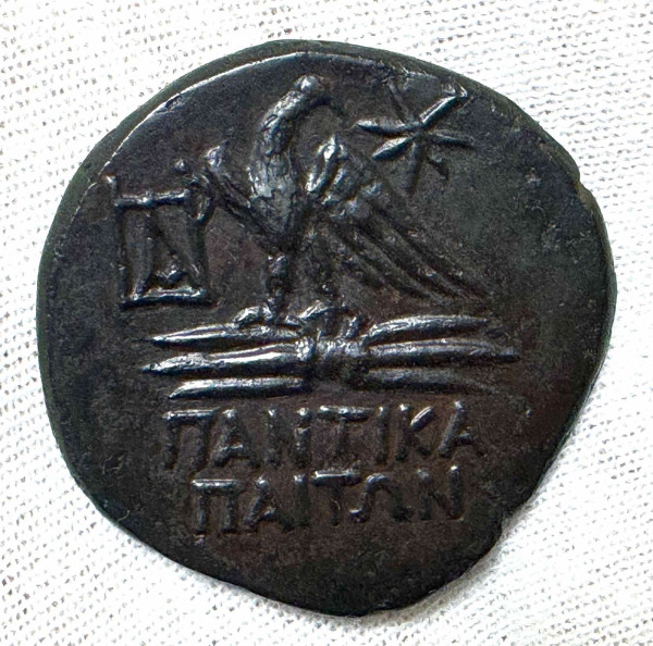 Тетрахалк 90-80 гг. до н.э. Пантикопей. 1003