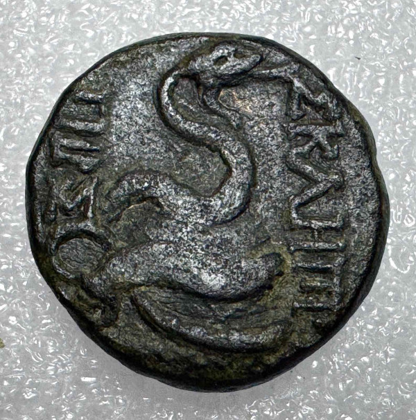 Драхма 133-27 рр.д.н.е. Мезія. Пергам. 1100