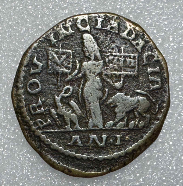Большая бронза 247-249 гг.н.э. Филипп ІІ Дация. 1113