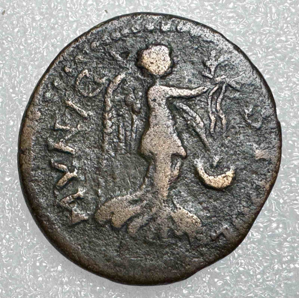 Большая бронза 193-211 гг.н.э.Септимий Север. 1114