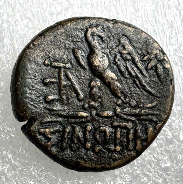 Тетрадрахма 120-63 гг.д.н.э. Понтий. Фарнакия 1160