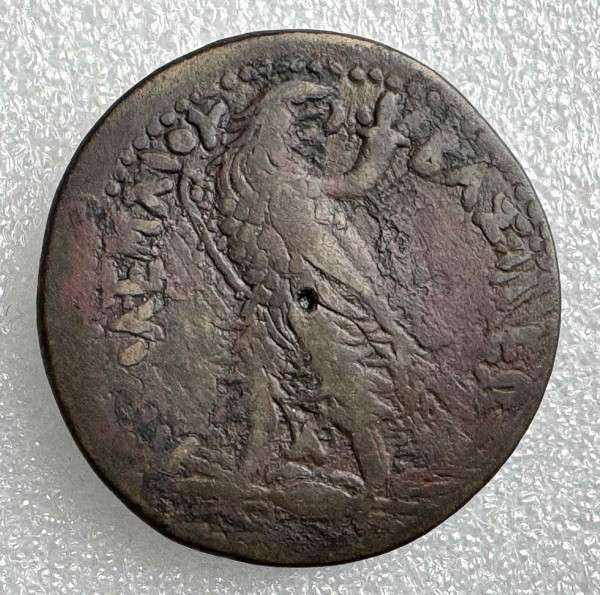 Драхма 221-205 гг.д.н.э. Египет. Птолемей ІV. 1162