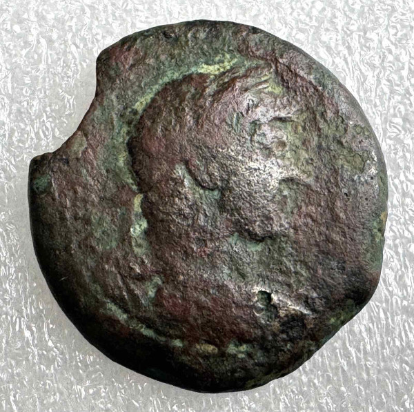 Драхма 117-138рр.н.е. Єгипет. Адріан. 1164