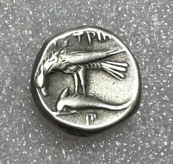 Драхма 336-323 рр.д.н.е. Істрія. 1170
