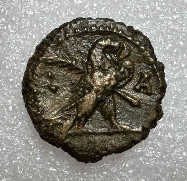Тетрадрахма 282-283 гг.н.э. Каро.Египет. 1192