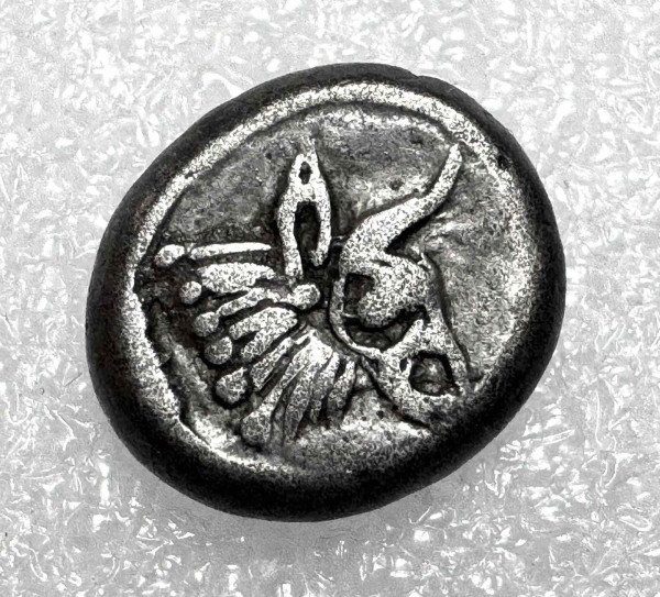Гемідрахма 500-400рр.д.н.е. Колхіда. 1171