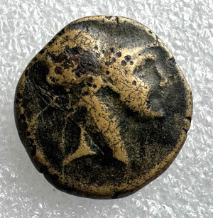 Тетрадрахма 120-63 рр.д.н.е. Понтий. Газиура.